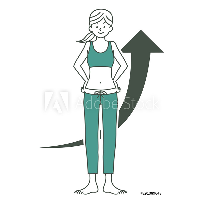 美ボディライン